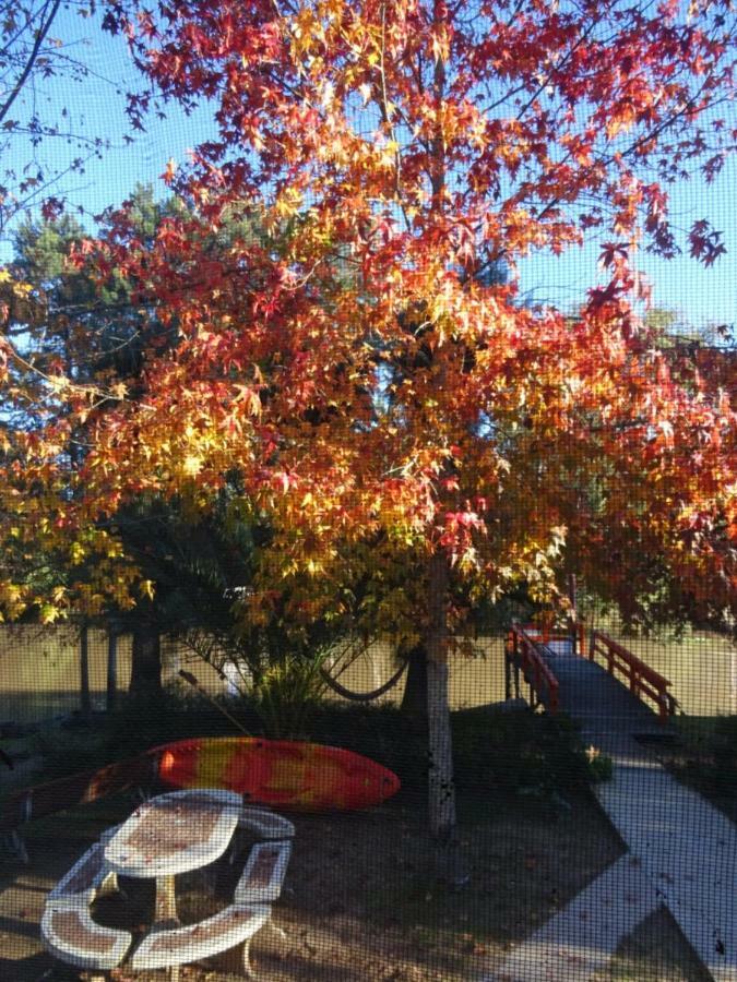 Gaia Hostal Tigre Eksteriør bilde